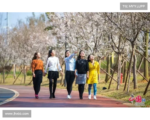 三阪亘:樱花盛放的春日风情 三阪亘:樱花盛放的春日风情